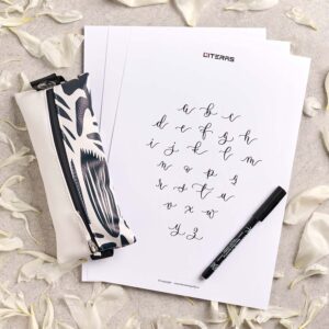 Darilo za učiteljice