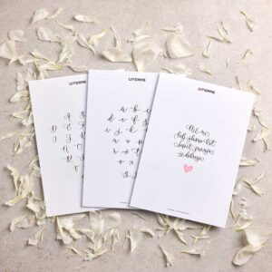 Komplet za moderno kaligrafijo